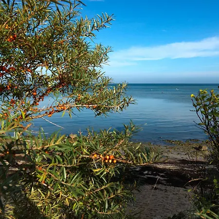 Апартаменты Gollwitzer Park Sturmvogel *