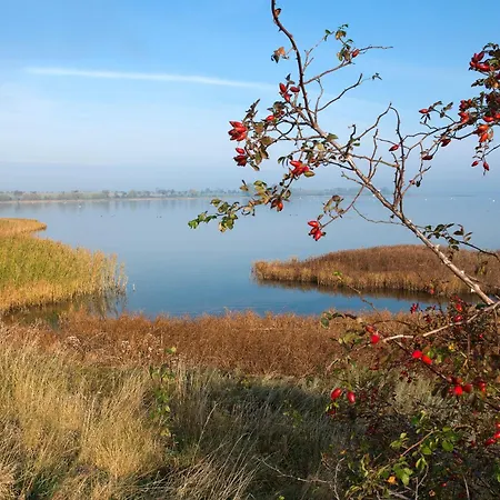 Gollwitzer Park Sturmvogel 아파트 Gollwitz